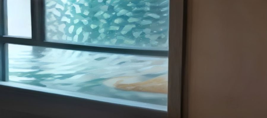 亚洲视频内容多样性展示：国产剧、日韩综艺、纪录片画面拼贴，色彩丰富、场景各异，体现亚洲视频的广阔内容范畴